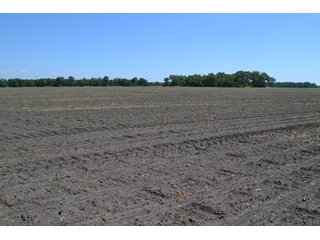 <b>PRICE REDUCED: $5,900 per acre</b><br>
This property offers productive tillable land along with two wooded areas.  Much of the larger woods near the road is on a ridge.  Investigate this area for a potential beautiful homesite as well as for hunting and recreational opportunities. <br>
<b>156.9+/- </b>Total Acres | <b>145.83+/-</b> Tillable Cropland Acres per FSA | <b>10+/-</b> Wooded Acres - 156.9+/- Acres For Sale - Cropland, Woods for Hunting/Recreational & Potential Building Sites